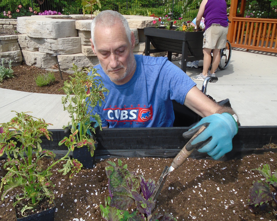 man planting a plant